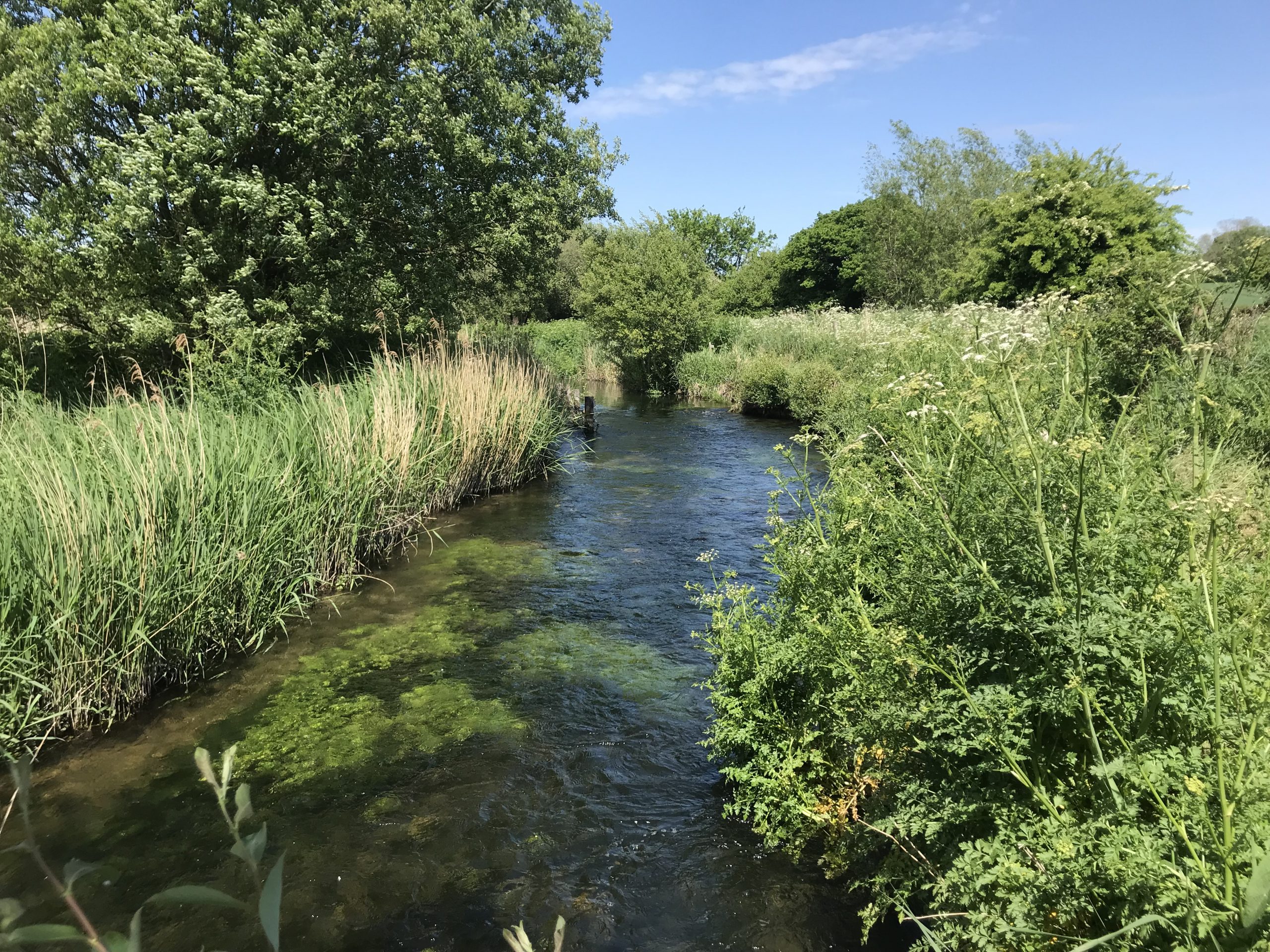 River Allen looking upstream