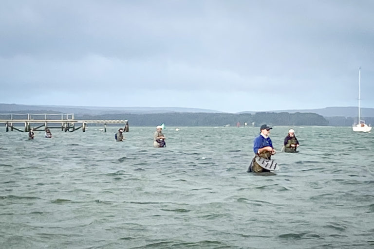 Salt water flyfishing for bass, flyfishers standing in waste deep water in a harbour