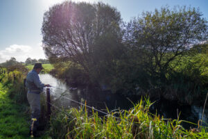 view along the Dorset River Alle, fence in foreground tree behind