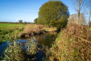 View of the River Allen near WImborne, blue sky, tree in background