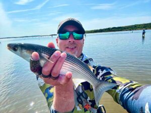 Fisherman holding golden grey mullet with harbour in background